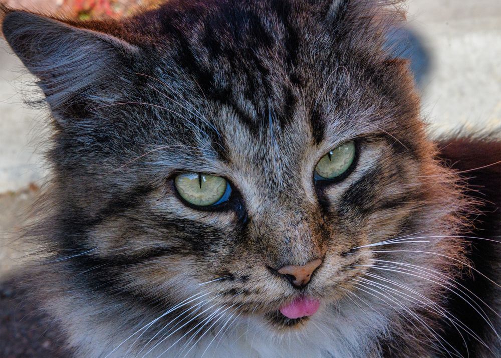 Photograph by Владимир Кваша