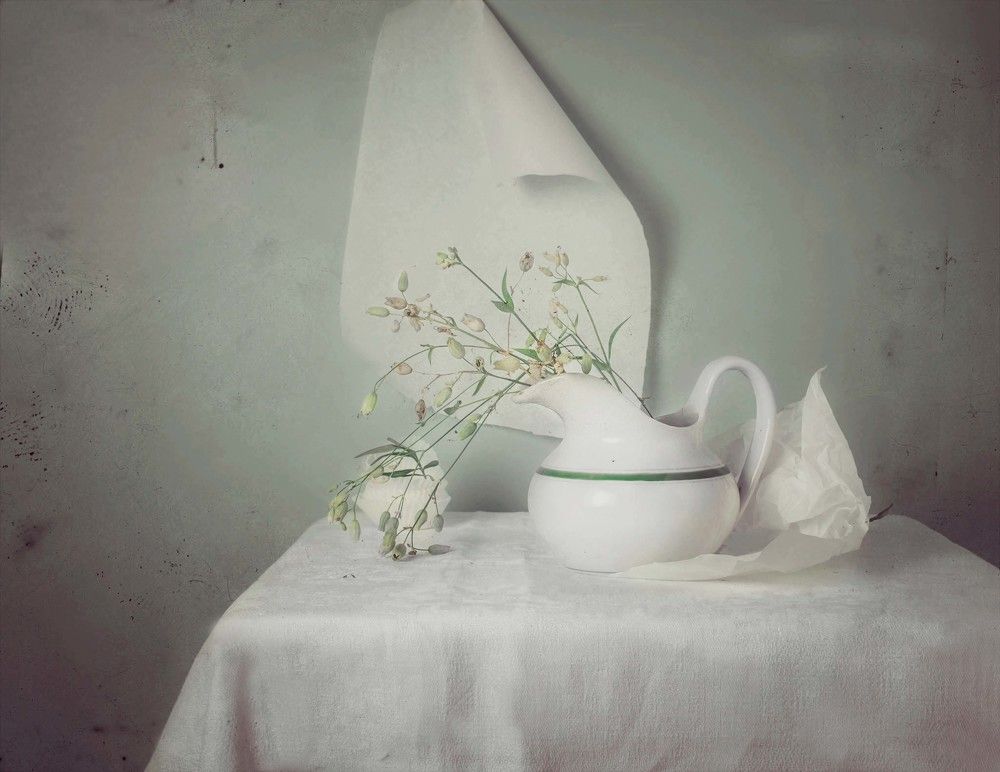 Photograph by Елена Кулыгина