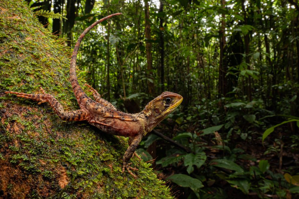 Photograph by Juan Camilo Gonzalez Castillo