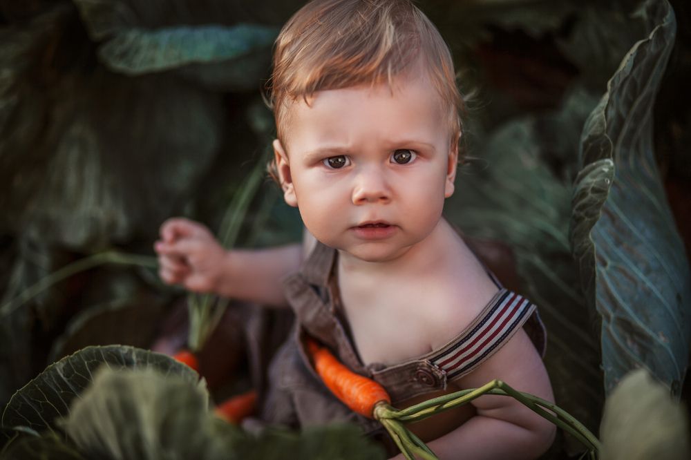 Фотография автора Кристина Догодька