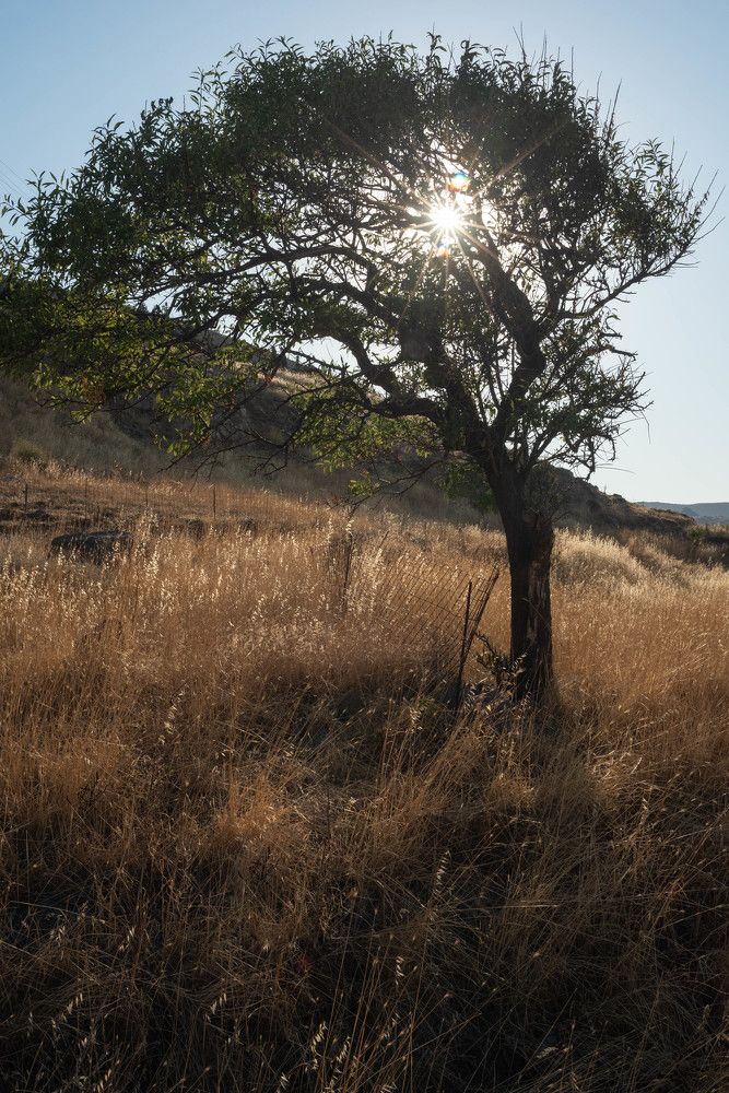 Фотография автора DIMITRIS MPAZIOTOPOULOS