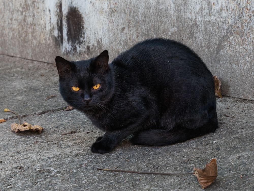 Photograph by Владимир Кваша