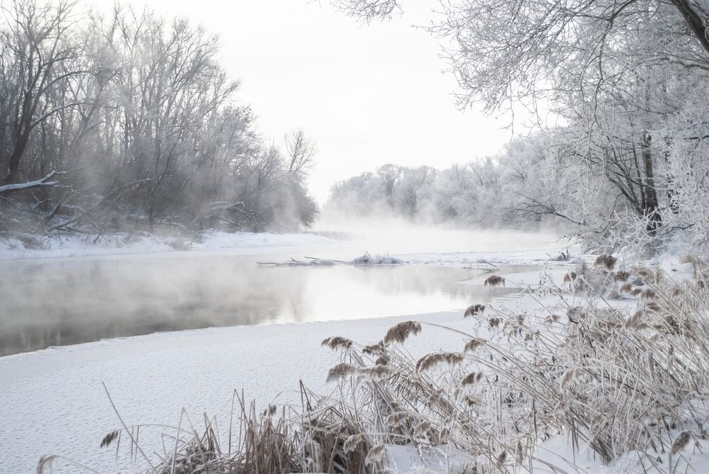Фотография автора Алексей Самойлов