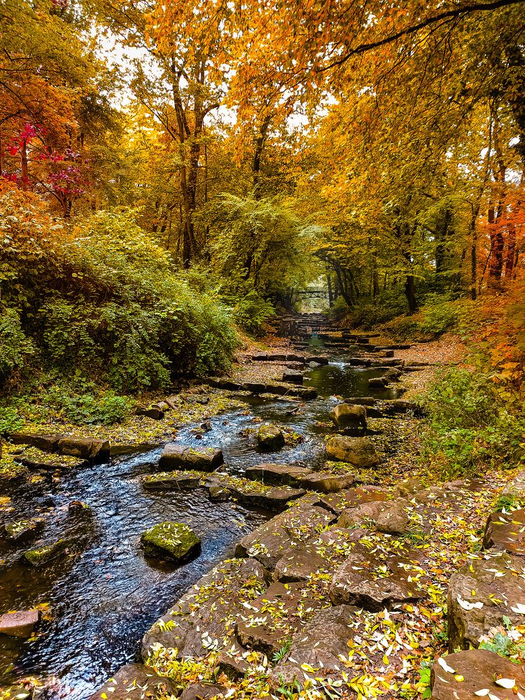 Photograph by Татьяна Сытова