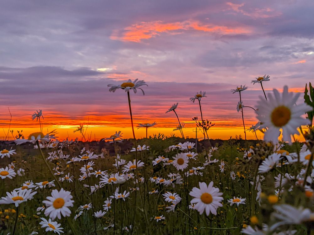 Photograph by Светлана Кондрашова