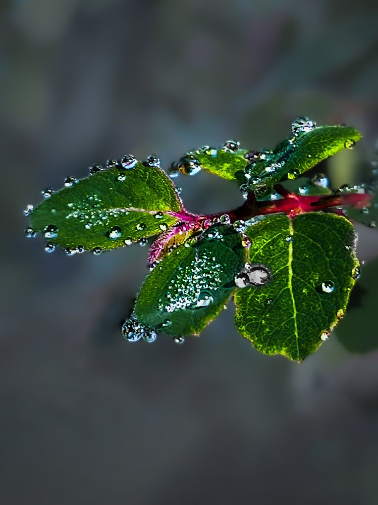 Photograph by Татьяна Сытова