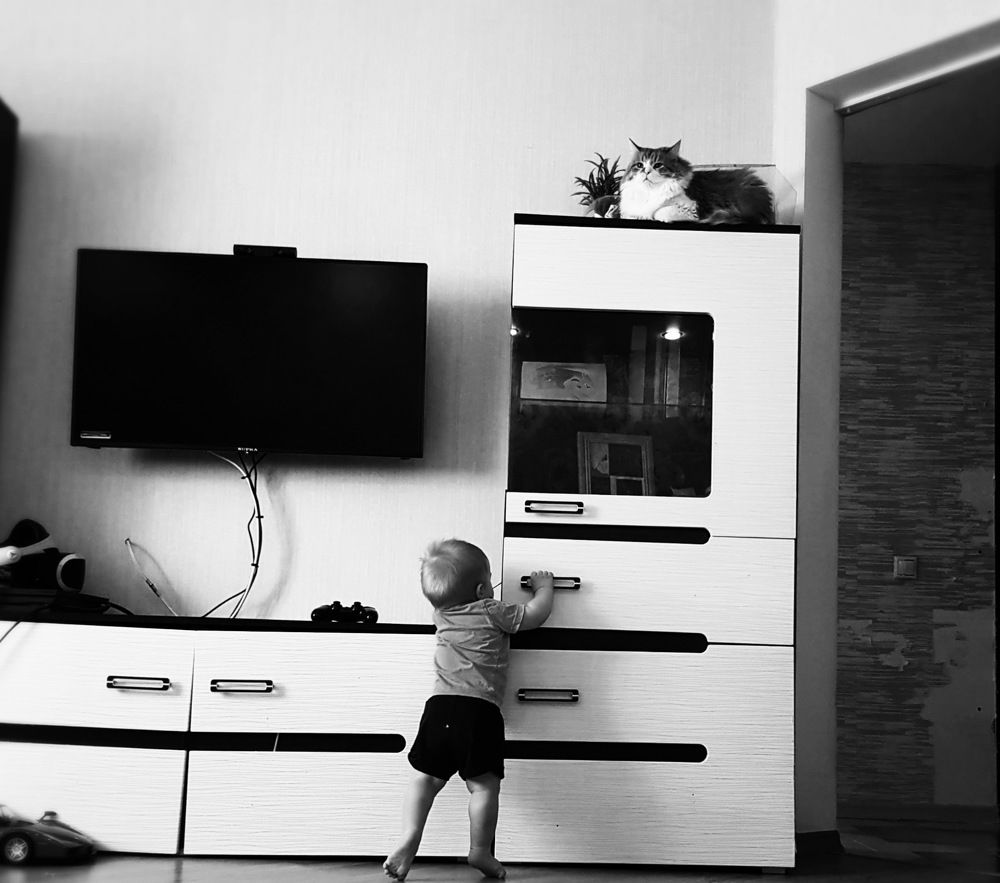 Исследователь