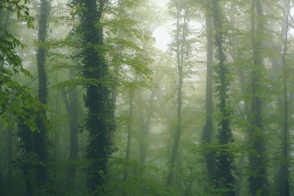 Photograph by Александра