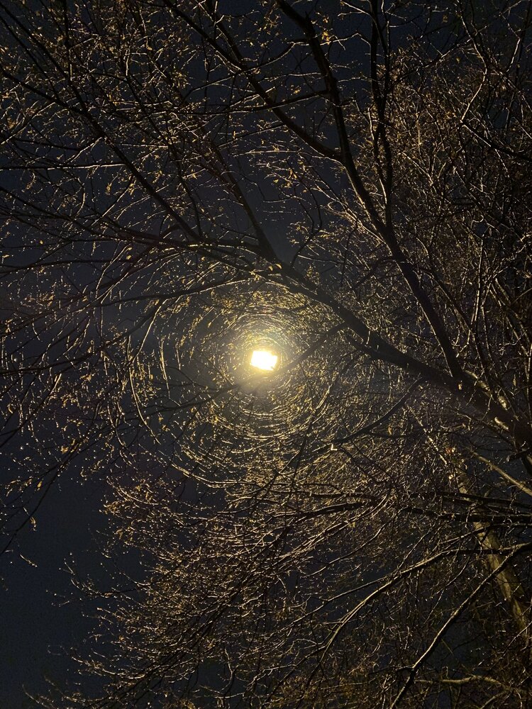 Photograph by Сергей