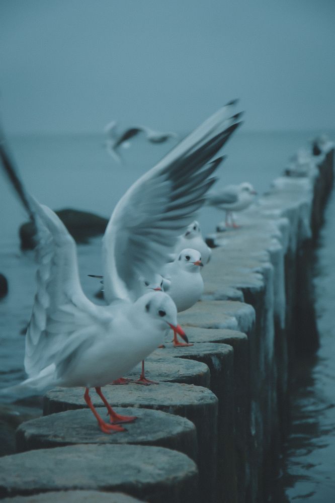 Photograph by Александр