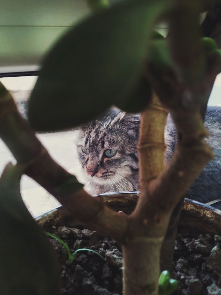 Photograph by Anastasiya Danilova