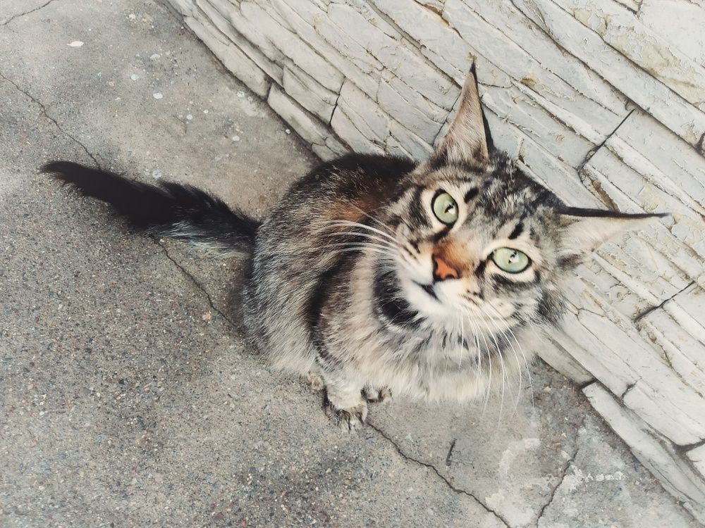 Photograph by Anastasiya Danilova