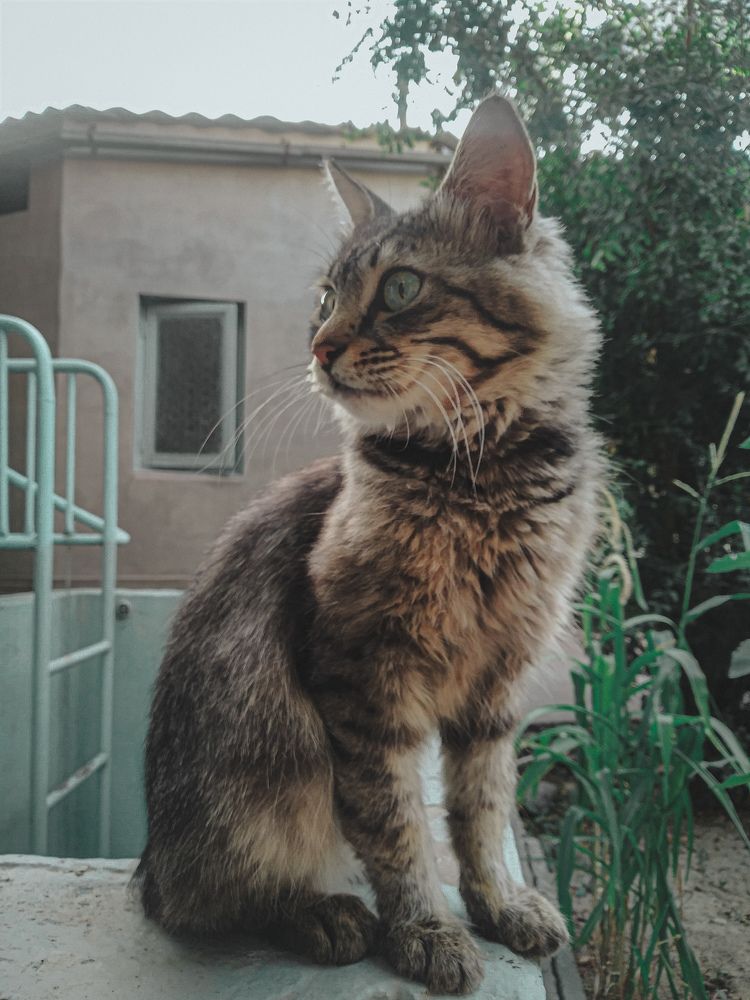 Photograph by Anastasiya Danilova