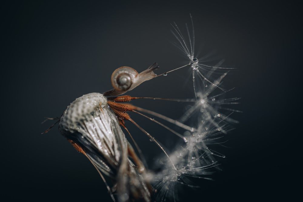 Photograph by Анна Бобкова