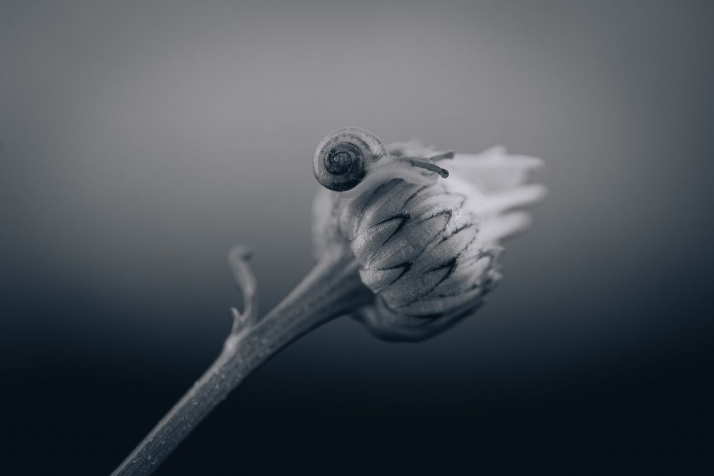 Photograph by Анна Бобкова