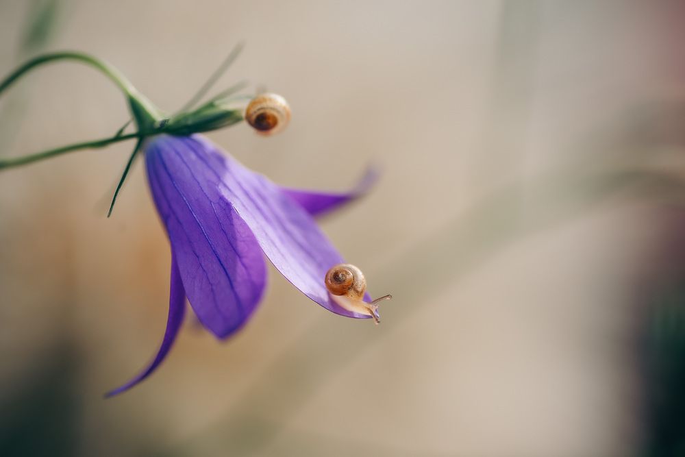 Photograph by Анна Бобкова