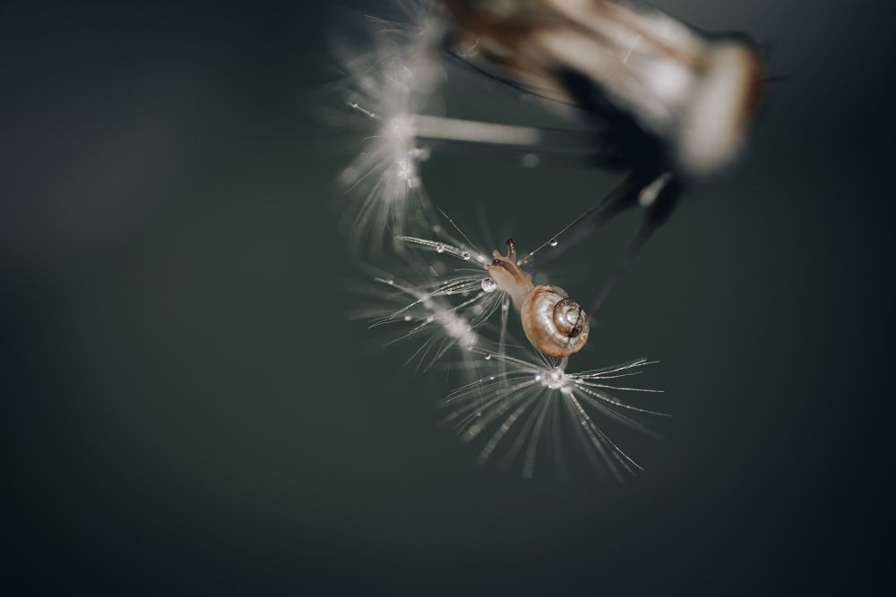 Photograph by Анна Бобкова