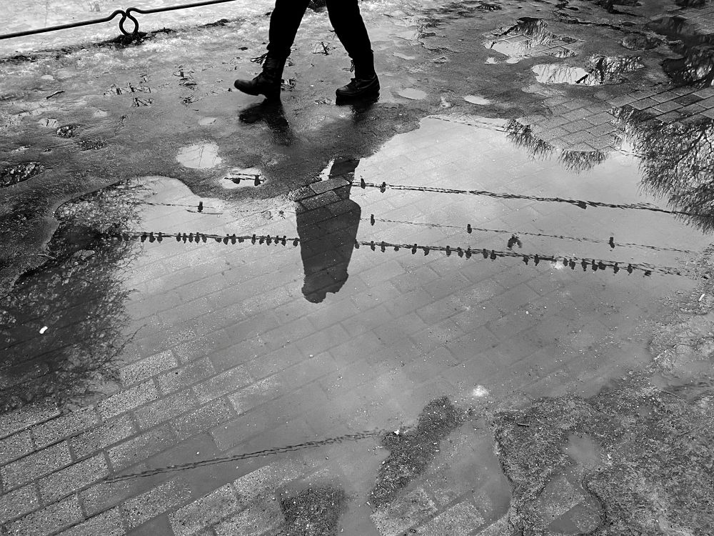 Photograph by Сергей Филиппов