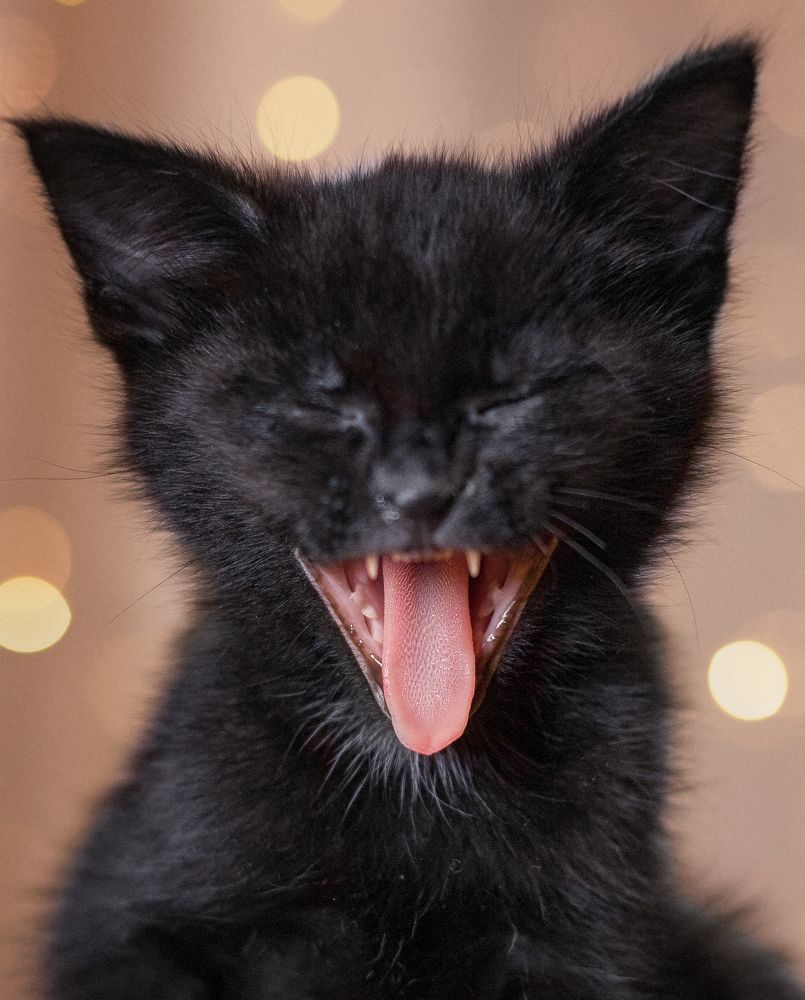 Photograph by Маша Кустова