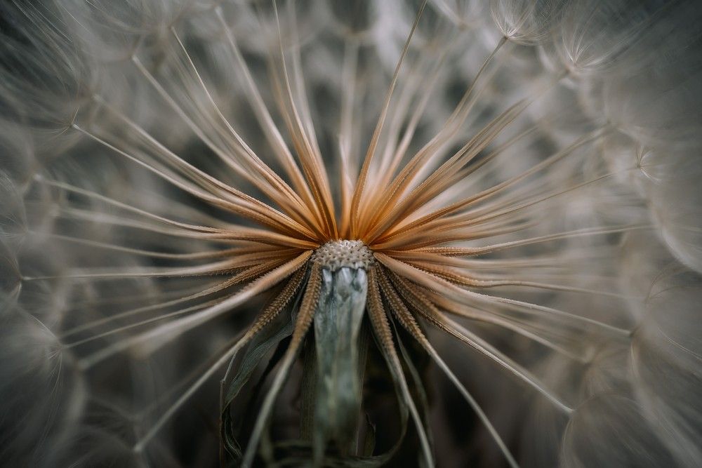 Photograph by Анна Бобкова