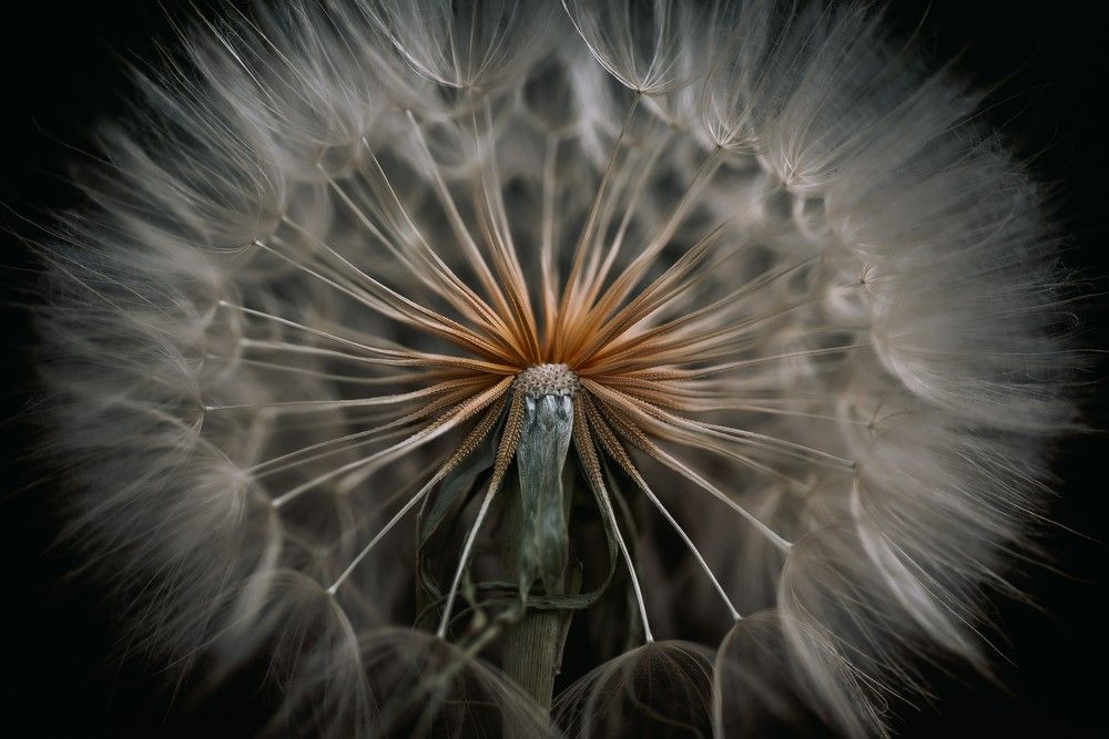 Photograph by Анна Бобкова