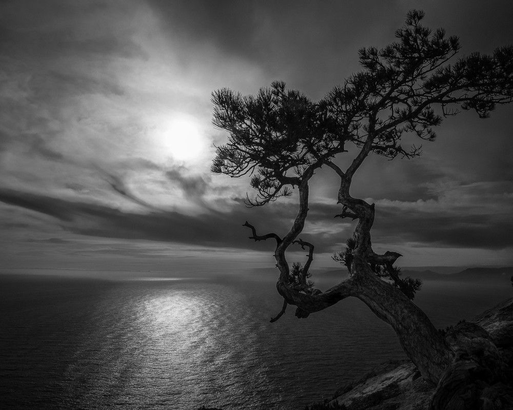 Фотография автора Liubomyr Iasin