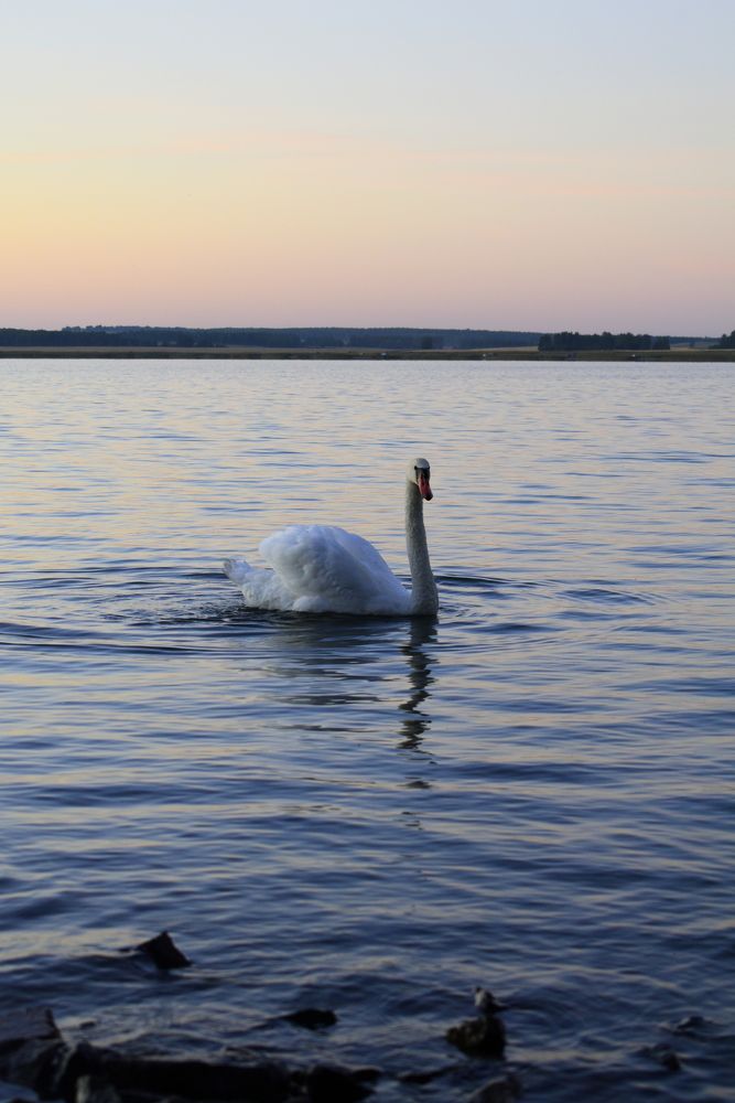Photograph by Екатерина Скоропадова