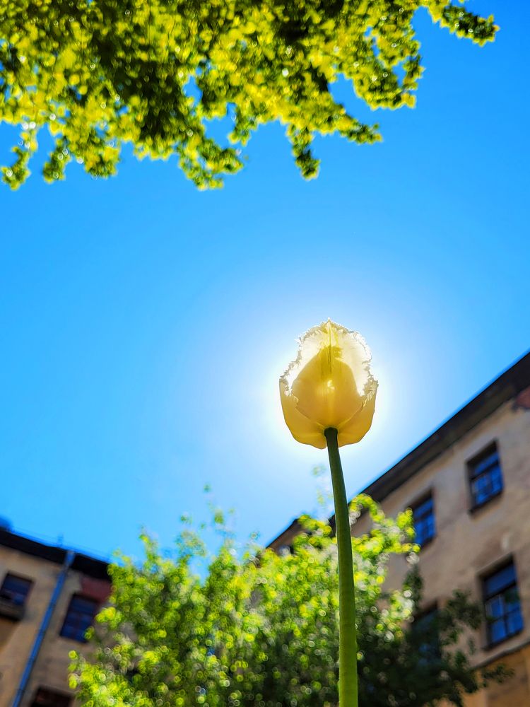 Photograph by Валерия