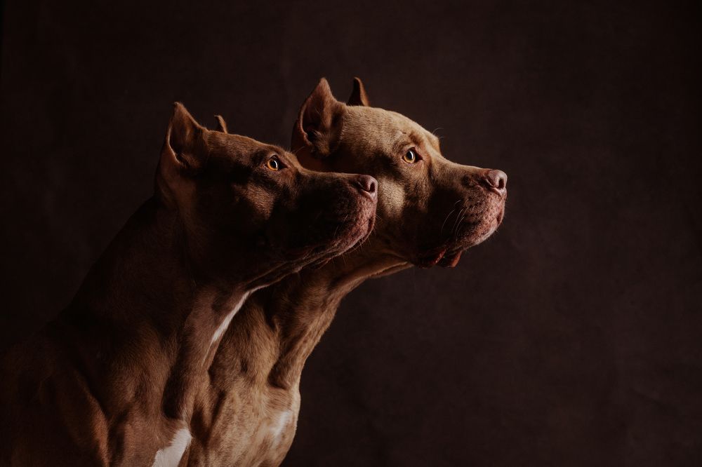 Photograph by Елена Левина