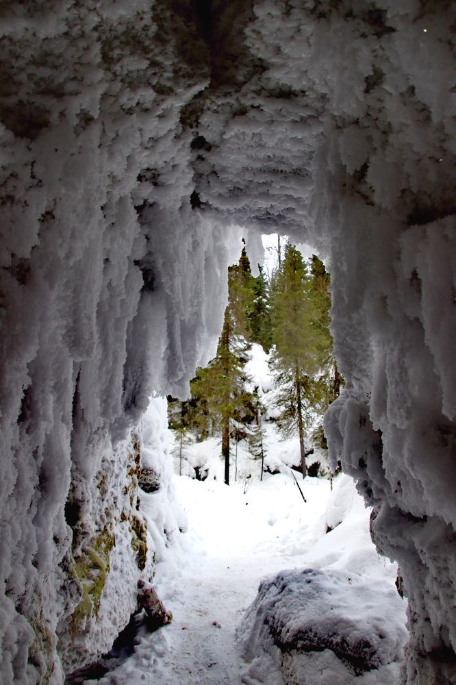 Photograph by Марина