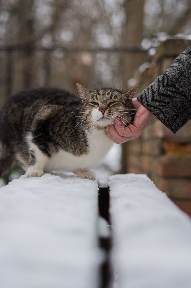 Photograph by Сергей Филиппов