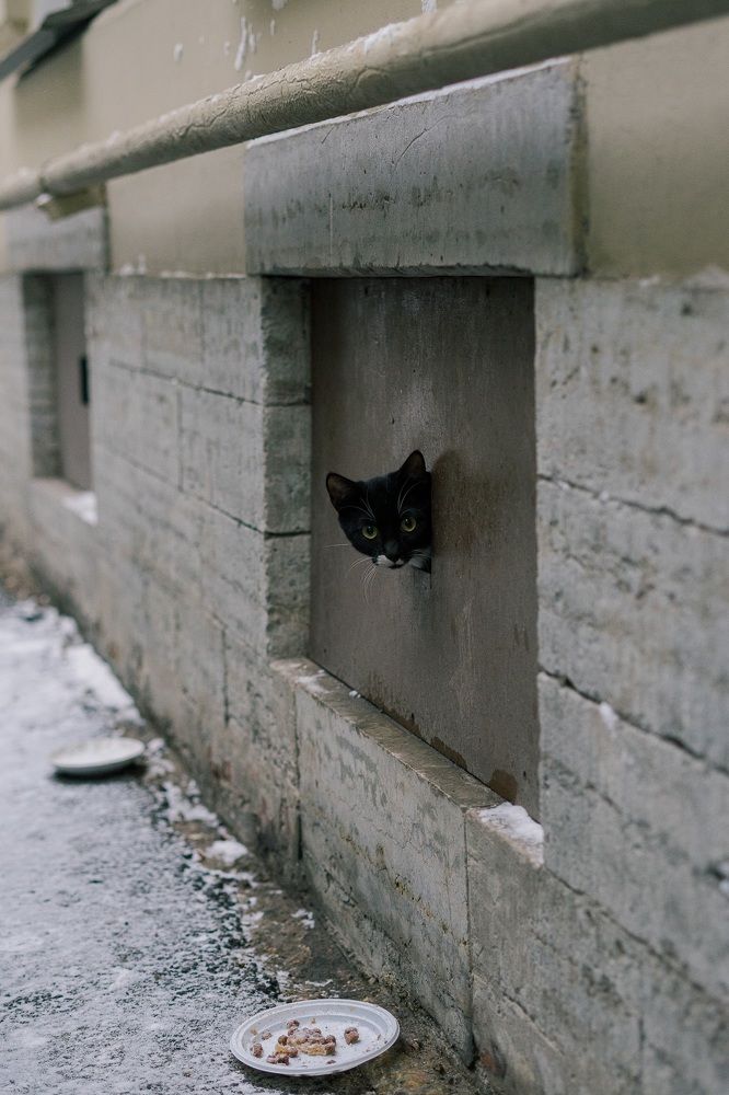 Photograph by Сергей Филиппов