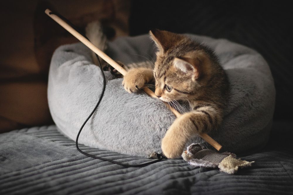 Photograph by Елена Мелихова