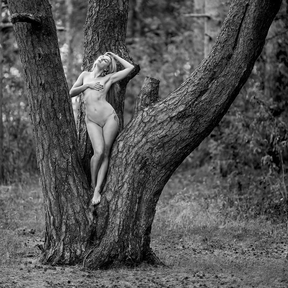 Photograph by Александр Абросимов