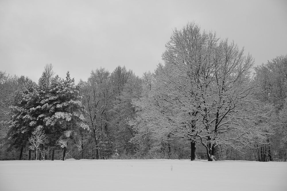 Photograph by Сергей Филиппов