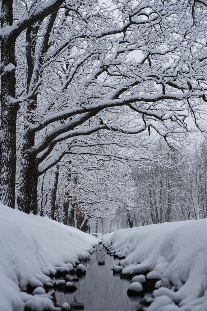 Photograph by Сергей Филиппов