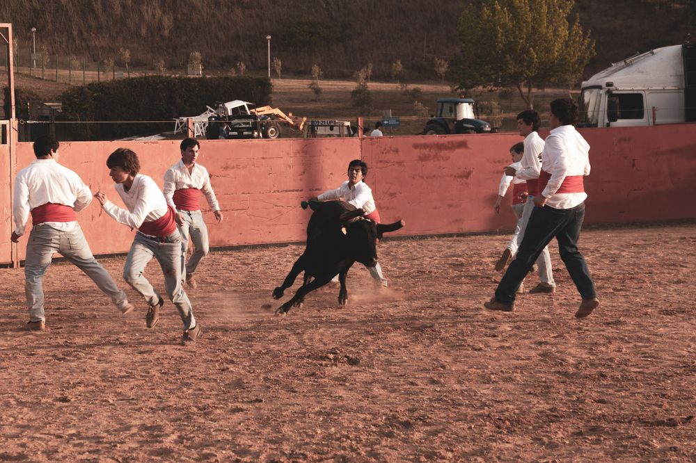 Photograph by Hugo Nunes