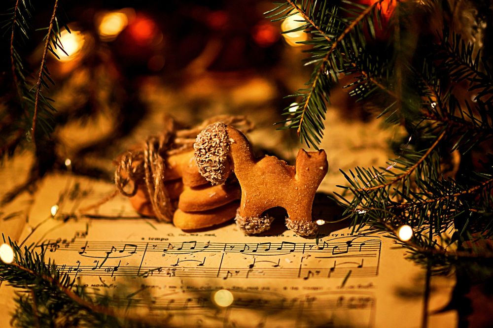 Фотография автора Валентина Бирина