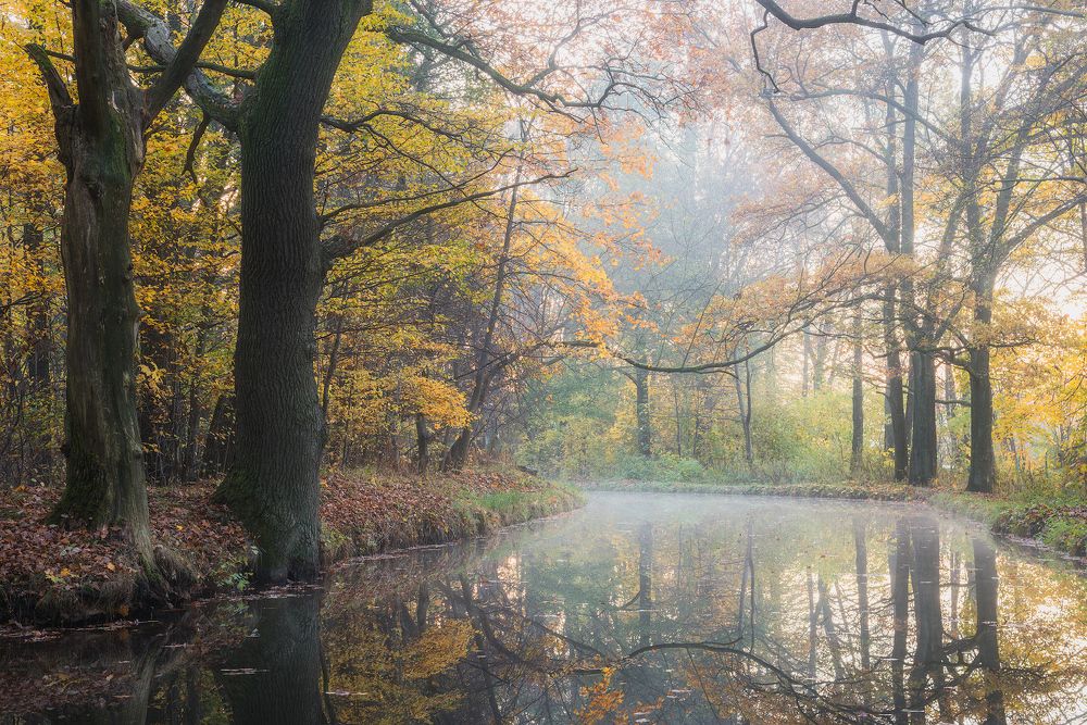 Photograph by Валерий Притченко