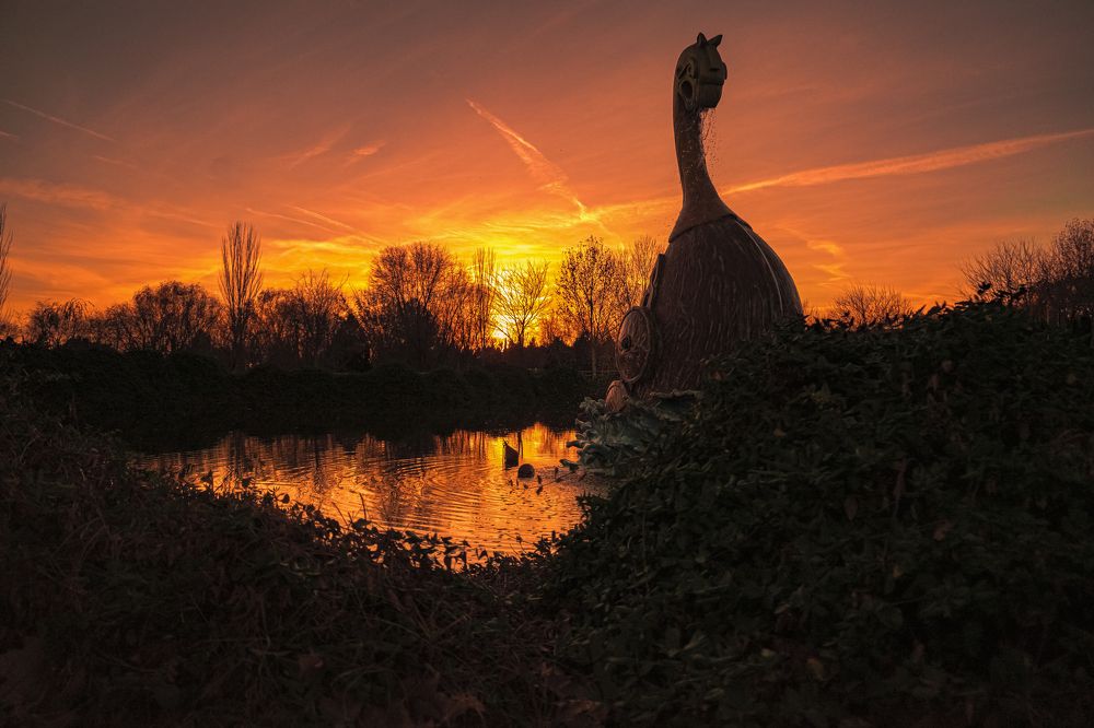 Viking Reddish Sunset