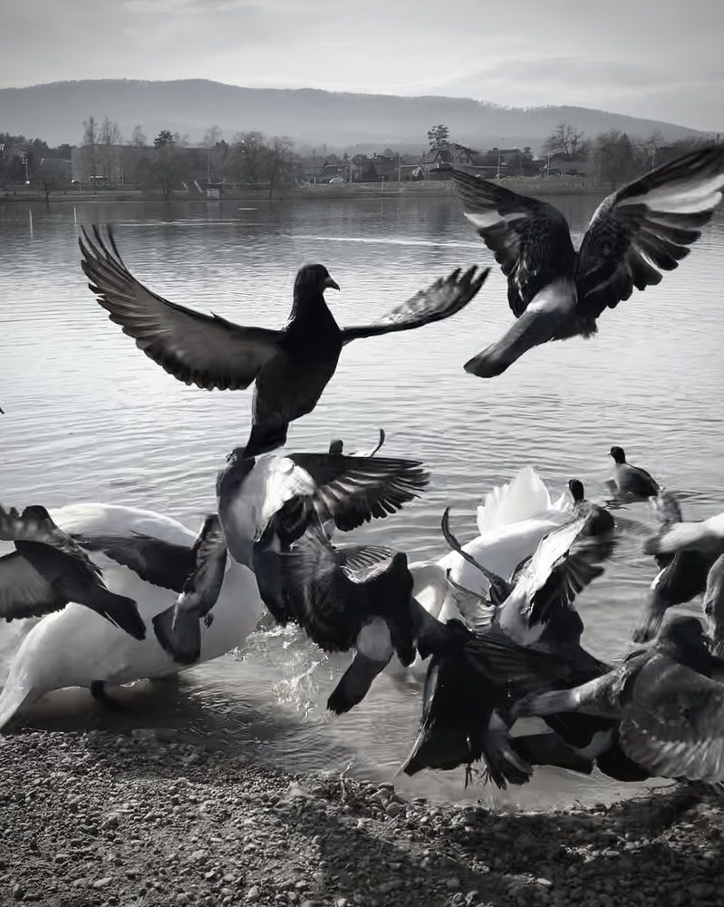 Photograph by Татьяна Семёнова