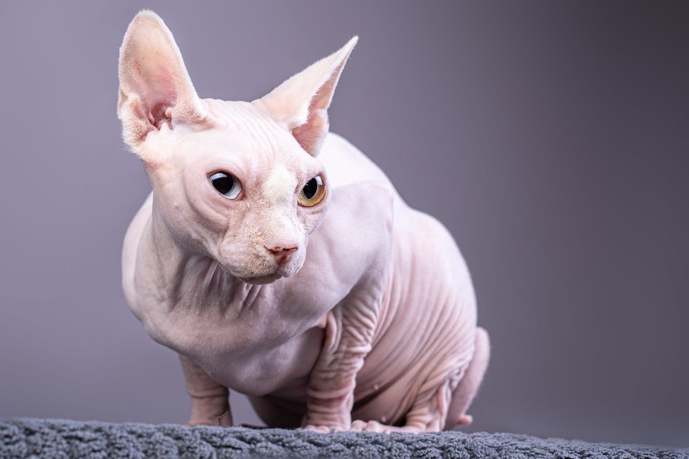 Photograph by наталья залогина