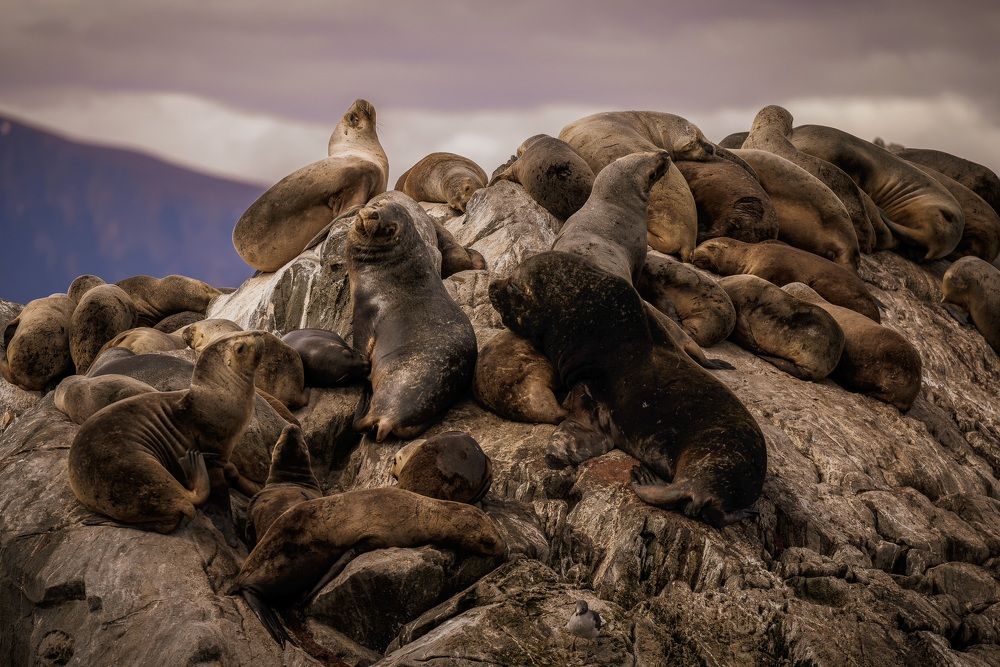 Photograph by Юлия Калугина