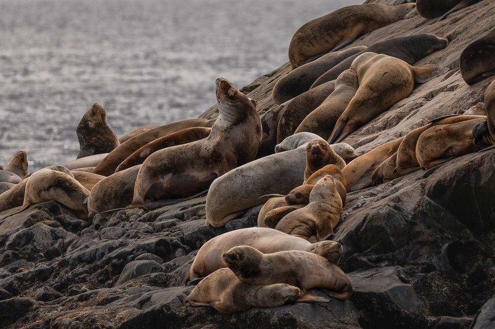 Photograph by Юлия Калугина