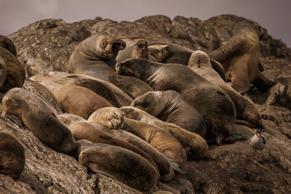 Photograph by Юлия Калугина