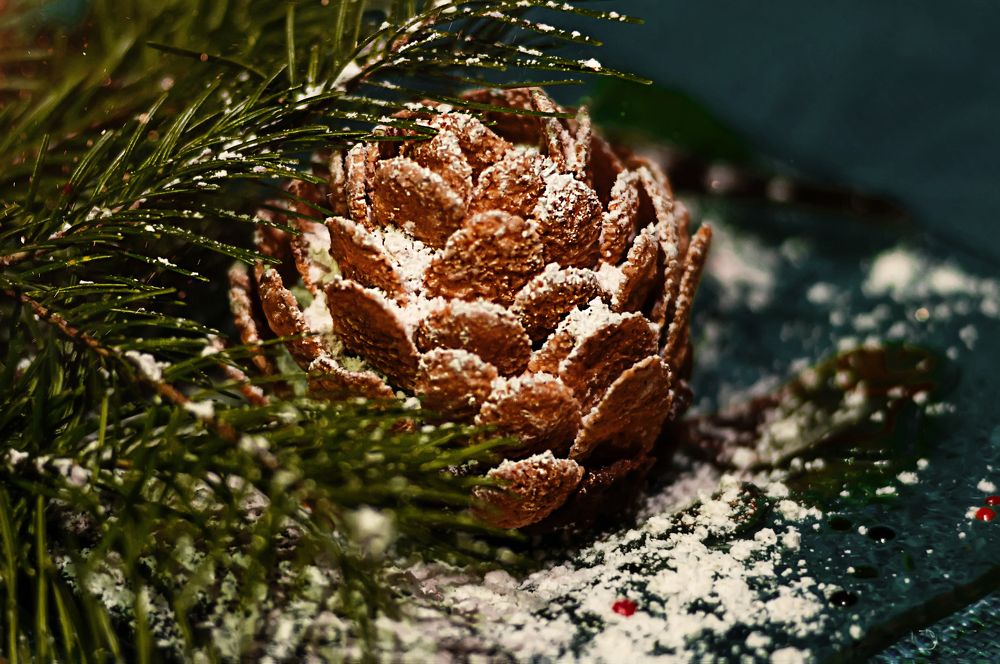 Фотография автора Валентина Бирина