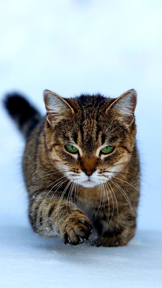 Photograph by Руслан Гордиенко