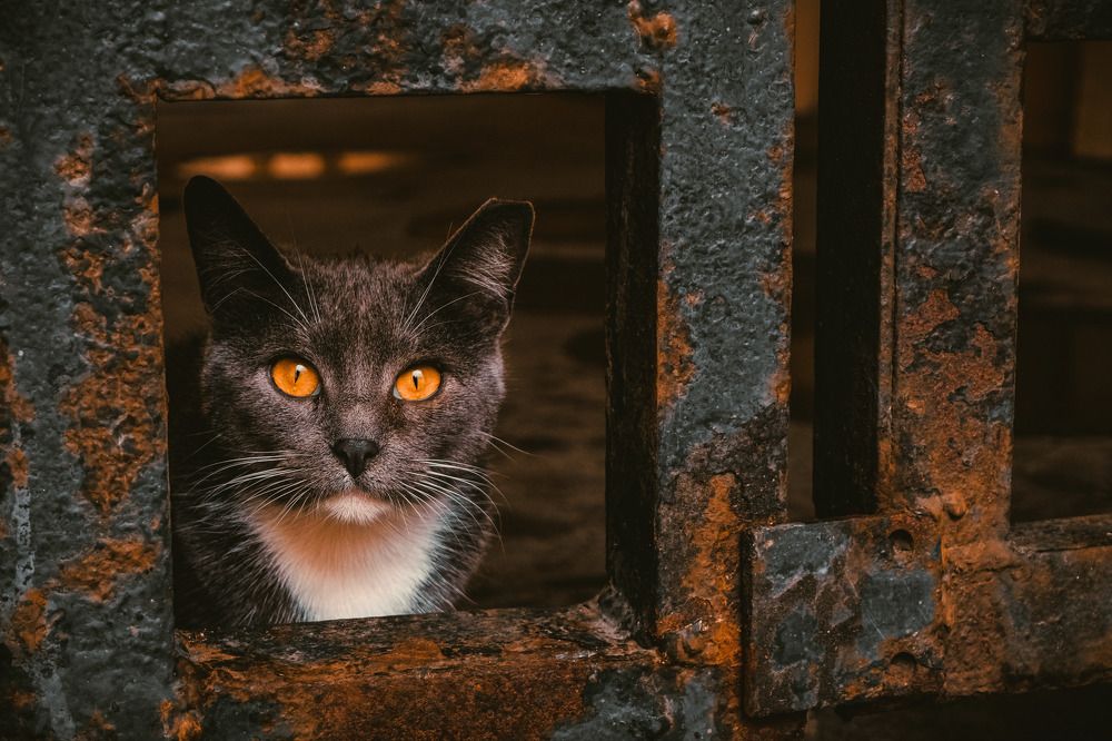 Photograph by Ульяна Дундукова