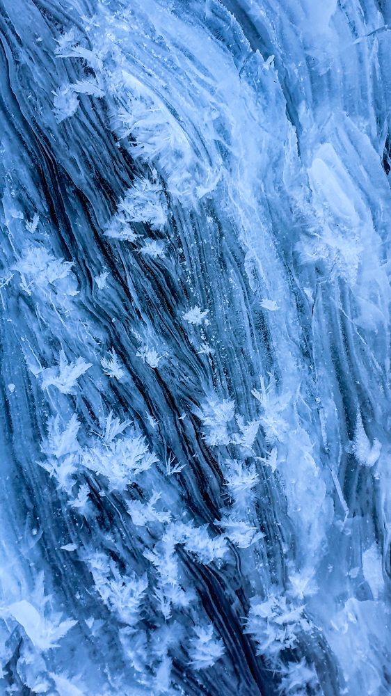 Photograph by Svetlana Zelyanina