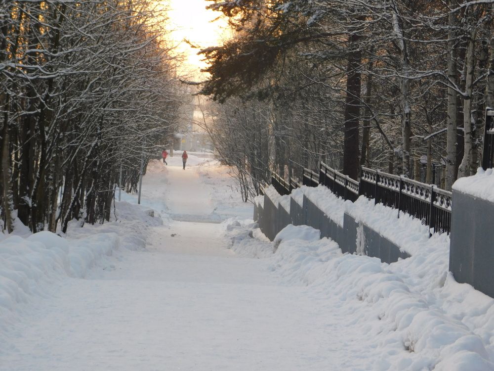 Photograph by Светлана Зотова